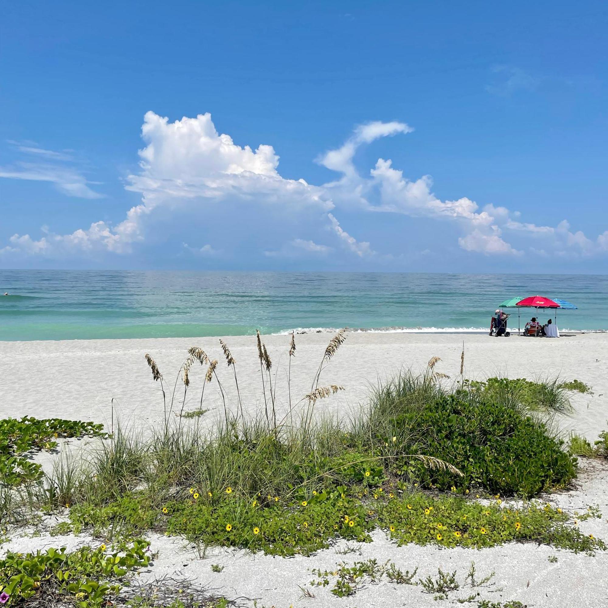 Turtle Beach Resort Siesta Key Kültér fotó